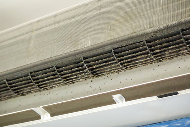 Best Air Duct Cleaning Near Me  in Meiners Oaks, CA